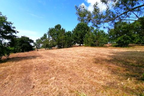 Helårsgrund i Obidos, Leiria, Obidos - € 424.600 | Ref: BL938 - foto 6