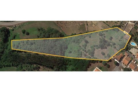 Helårsgrund i Obidos, Leiria, Obidos - € 424.600 | Ref: BL938 - foto 9