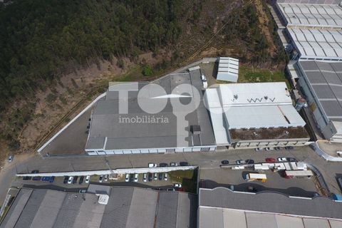 Erhvervsejendom i Trofa, Porto, Trofa - € 2.418.990 | Ref: 2221MTS - foto 2