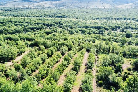 Villa i Bauduen, Var, Bauduen - € 1.250.000 | Ref: HH-15084760 - foto 7