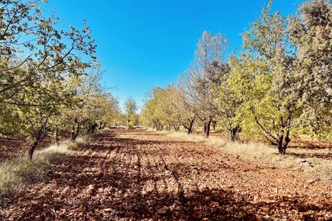 Villa i Bauduen, Var, Bauduen - € 1.250.000 | Ref: HH-15084760 - foto 2