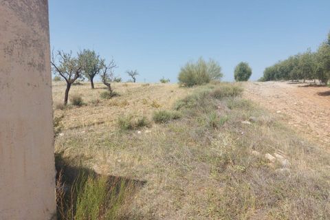 Helårsgrund i Sorbas, Almeria, Sorbas - € 60.000 | Ref: SOR358 - foto 4