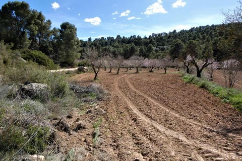 Finca i Maella, Zaragoza, Maella - € 29.000 | Ref: 0882 - foto 25