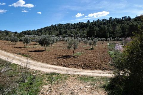 Finca i Maella, Zaragoza, Maella - € 29.000 | Ref: 0882 - foto 29