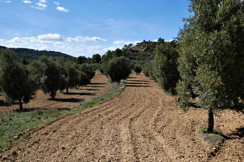 Finca i Maella, Zaragoza, Maella - € 29.000 | Ref: 0882 - foto 20