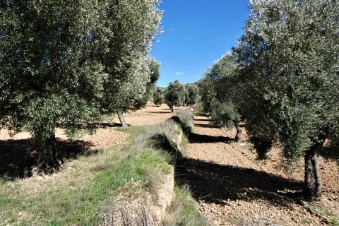 Finca i Maella, Zaragoza, Maella - € 29.000 | Ref: 0882 - foto 24