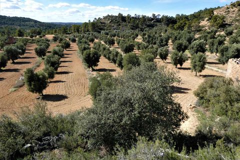 Finca i Maella, Zaragoza, Maella - € 29.000 | Ref: 0882 - foto 10