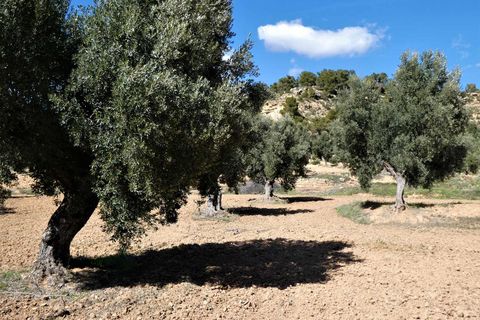 Finca i Maella, Zaragoza, Maella - € 29.000 | Ref: 0882 - foto 23