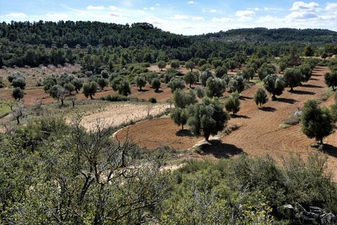 Finca i Maella, Zaragoza, Maella - € 29.000 | Ref: 0882 - foto 11