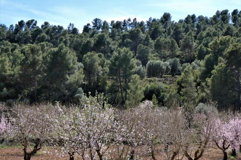 Finca i Maella, Zaragoza, Maella - € 29.000 | Ref: 0882 - foto 33