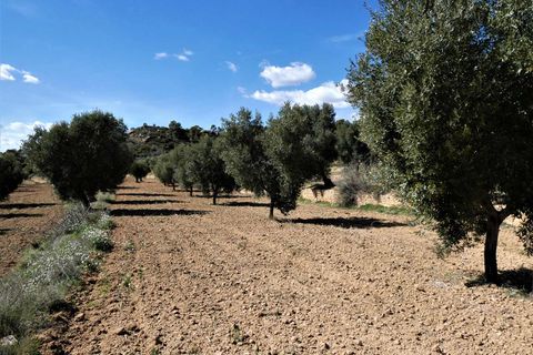 Finca i Maella, Zaragoza, Maella - € 29.000 | Ref: 0882 - foto 16