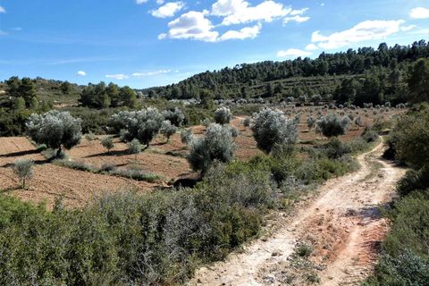 Finca i Maella, Zaragoza, Maella - € 29.000 | Ref: 0882 - foto 27