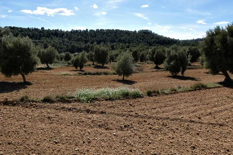 Finca i Maella, Zaragoza, Maella - € 29.000 | Ref: 0882 - foto 22