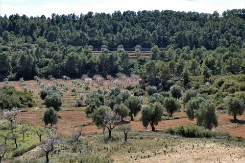 Finca i Maella, Zaragoza, Maella - € 29.000 | Ref: 0882 - foto 12