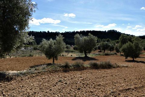 Finca i Maella, Zaragoza, Maella - € 29.000 | Ref: 0882 - foto 19