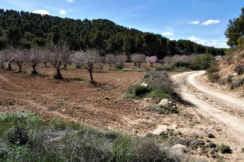 Finca i Maella, Zaragoza, Maella - € 29.000 | Ref: 0882 - foto 31