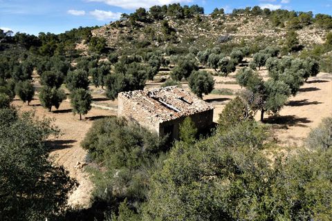Finca i Maella, Zaragoza, Maella - € 29.000 | Ref: 0882 - foto 1