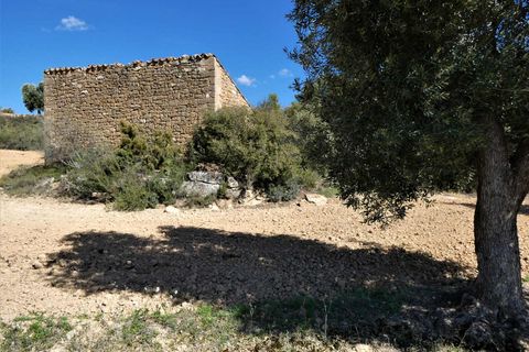 Finca i Maella, Zaragoza, Maella - € 29.000 | Ref: 0882 - foto 14