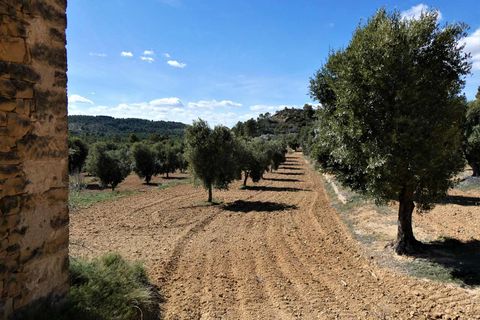 Finca i Maella, Zaragoza, Maella - € 29.000 | Ref: 0882 - foto 8