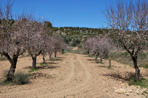 Finca i Maella, Zaragoza, Maella - € 29.000 | Ref: 0882 - foto 26
