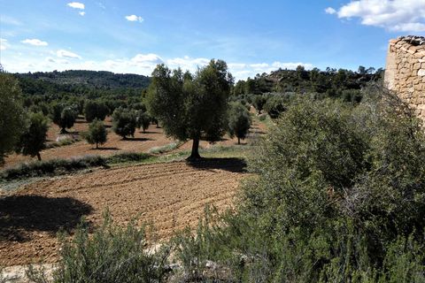 Finca i Maella, Zaragoza, Maella - € 29.000 | Ref: 0882 - foto 13
