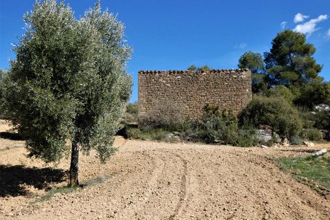 Finca i Maella, Zaragoza, Maella - € 29.000 | Ref: 0882 - foto 15