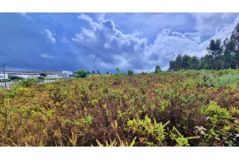 Helårsgrund i Pedroso, Porto, Pedroso - € 550.000 | Ref: RO1961 - foto 5