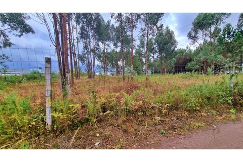 Helårsgrund i Pedroso, Porto, Pedroso - € 550.000 | Ref: RO1961 - foto 9