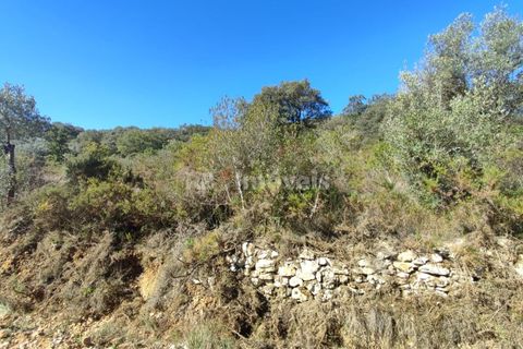 Helårsgrund i Tomar, Santarem, Tomar - € 6.000 | Ref: 01014-23 - foto 4
