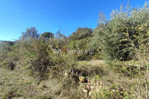 Helårsgrund i Tomar, Santarem, Tomar - € 6.000 | Ref: 01014-23 - foto 9