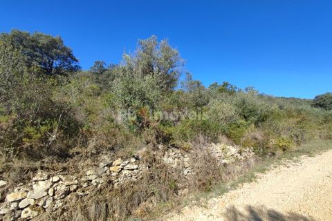 Helårsgrund i Tomar, Santarem, Tomar - € 6.000 | Ref: 01014-23 - foto 11