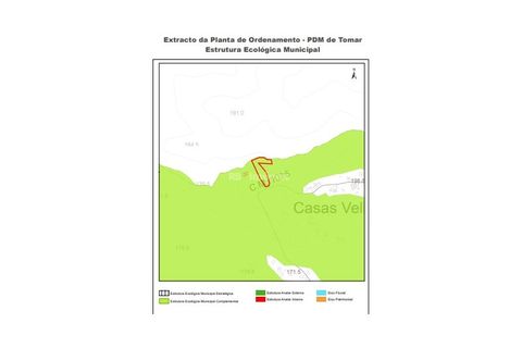 Helårsgrund i Tomar, Santarem, Tomar - € 5.000 | Ref: 01016-23 - foto 9