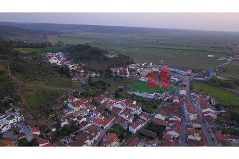 Terra a Chamusca, Santarem, Chamusca - € 145.200 | Ref: 519.20 - foto 7