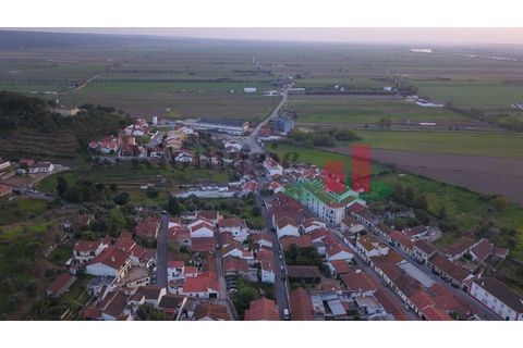 Terra a Chamusca, Santarem, Chamusca - € 145.200 | Ref: 519.20 - foto 9