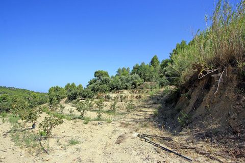 Helårsgrund i Beniarbeig, Alicante, Beniarbeig - € 165.000 | Ref: 001372 - foto 2