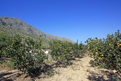 Helårsgrund i Beniarbeig, Alicante, Beniarbeig - € 165.000 | Ref: 001372 - foto 4