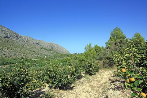 Helårsgrund i Beniarbeig, Alicante, Beniarbeig - € 165.000 | Ref: 001372 - foto 9