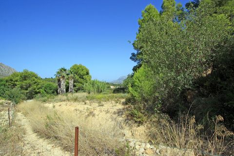 Helårsgrund i Beniarbeig, Alicante, Beniarbeig - € 165.000 | Ref: 001372 - foto 10
