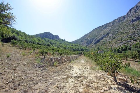 Helårsgrund i Beniarbeig, Alicante, Beniarbeig - € 165.000 | Ref: 001372 - foto 11