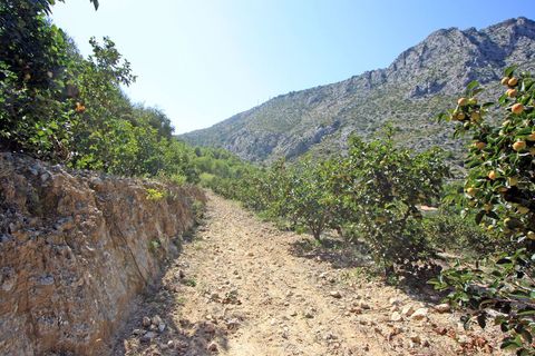 Helårsgrund i Beniarbeig, Alicante, Beniarbeig - € 165.000 | Ref: 001372 - foto 12