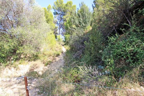 Helårsgrund i Beniarbeig, Alicante, Beniarbeig - € 165.000 | Ref: 001372 - foto 14