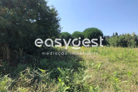 Helårsgrund i Batalha, Leiria, Batalha - € 160.000 | Ref: OR93231EW - foto 8