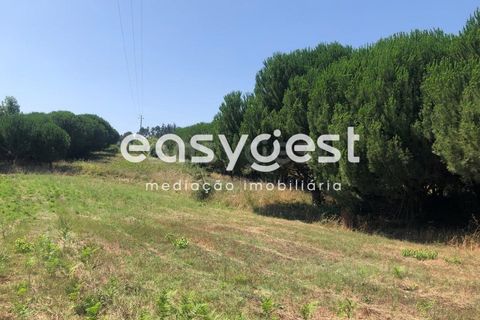 Helårsgrund i Batalha, Leiria, Batalha - € 160.000 | Ref: OR93231EW - foto 11