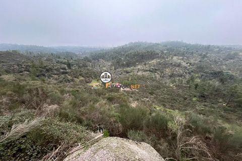 Helårsgrund i Castelo Branco, Castelo Branco, Castelo Branco - € 67.500 | Ref: 1848 - foto 6