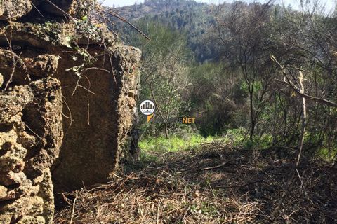 Helårsgrund i Castelo Branco, Castelo Branco, Castelo Branco - € 67.500 | Ref: 1848 - foto 9