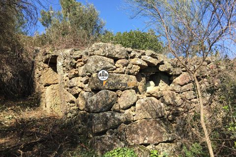 Helårsgrund i Castelo Branco, Castelo Branco, Castelo Branco - € 67.500 | Ref: 1848 - foto 10
