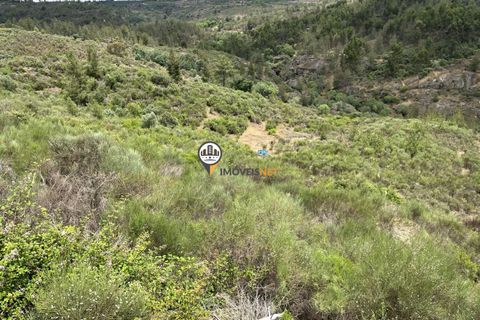 Helårsgrund i Castelo Branco, Castelo Branco, Castelo Branco - € 67.500 | Ref: 1848 - foto 13