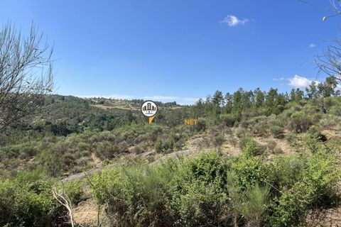 Helårsgrund i Castelo Branco, Castelo Branco, Castelo Branco - € 67.500 | Ref: 1848 - foto 15