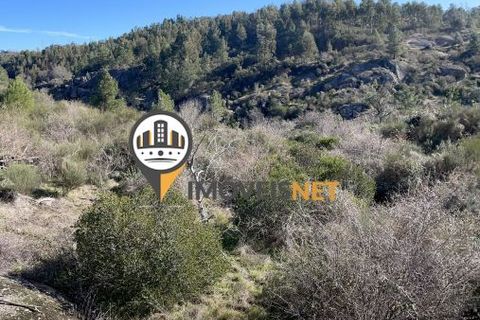 Helårsgrund i Castelo Branco, Castelo Branco, Castelo Branco - € 67.500 | Ref: 1848 - foto 17