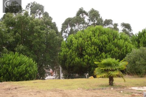 Villa i Santo Onofre e Serra do Bouro, Leiria, Santo Onofre e Serra do Bouro - € 695.000 | Ref: CAS_93 - foto 7